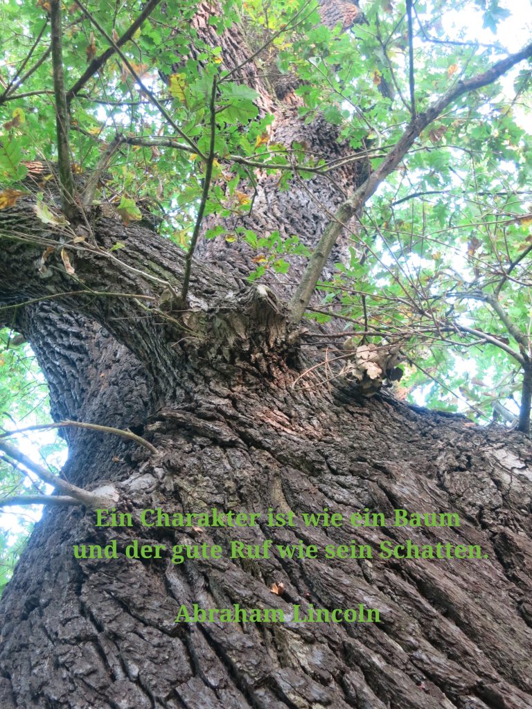 Employer Reputation: Wie werden wir als Arbeitgeber wahrgenommen?